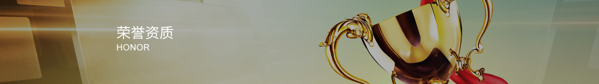 榮譽(yù)資質(zhì)
