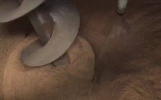 雙螺旋混合機11