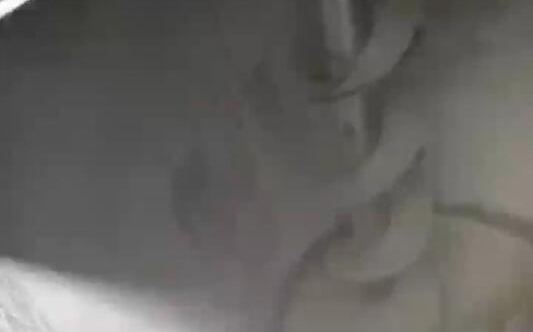 雙螺旋混合機(jī)